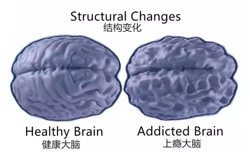世界杯手机观看-央媒发文痛批，这代被“数字泔水”喂养的孩子，正集体得“脑雾”